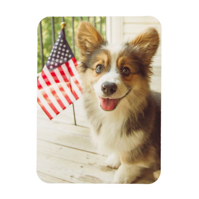 Imán Animales de bebé más afectados | Corgi de bandera  (Vertical)
