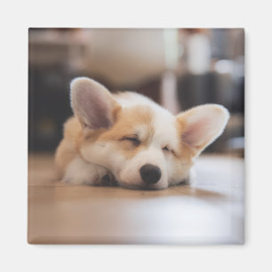 Imán Animales de bebé más afectados Corgi somnoliento