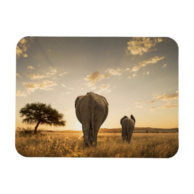 Imán Animales de bebé más afectados | Elefante Calf y M (Horizontal)