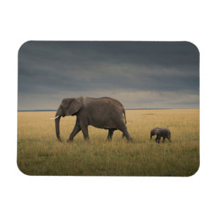 Imán Animales de bebé más afectados Familia Elefante