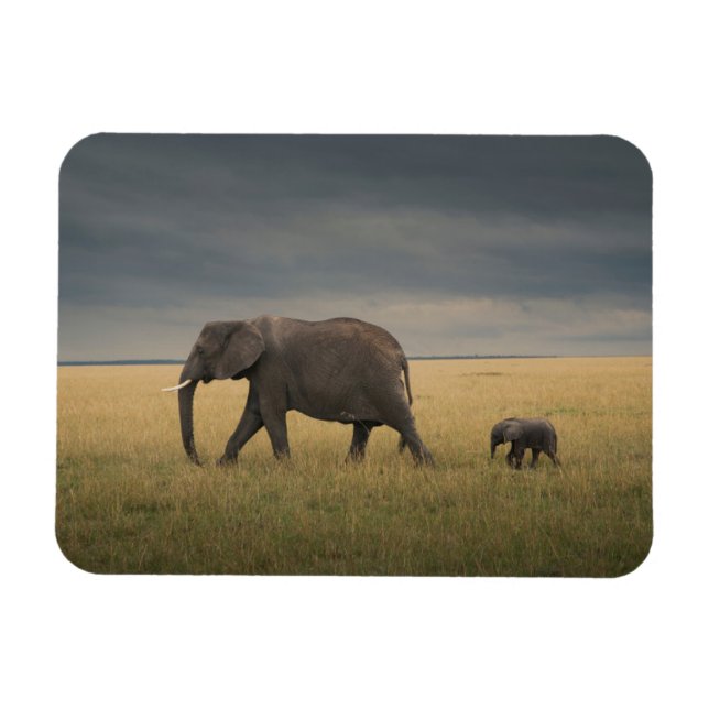 Imán Animales de bebé más afectados | Familia Elefante  (Horizontal)