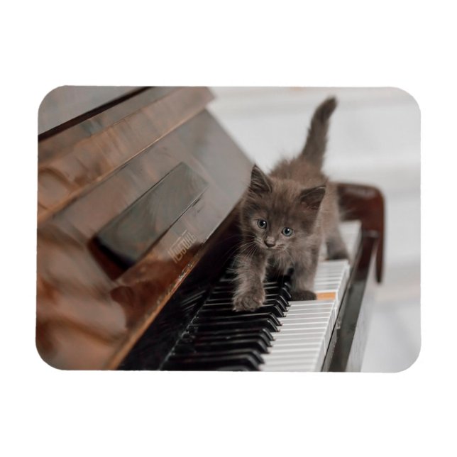 Imán Animales de bebé más afectados | Gatito en piano (Horizontal)