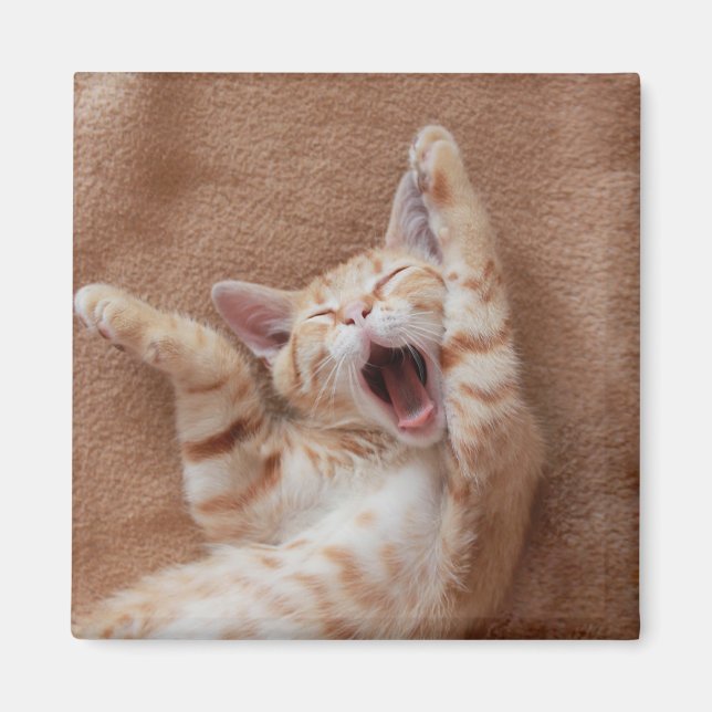 Imán Animales de bebé más afectados | Ginger Kitten Yaw (Frente)