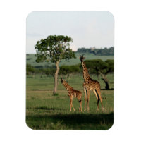 Animales de bebé más afectados | Giraffe Calf & Ma