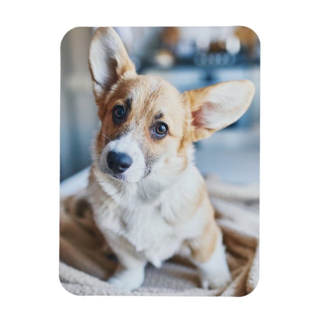 Imán Animales de bebé más afectados | Inclinación de la (Vertical)