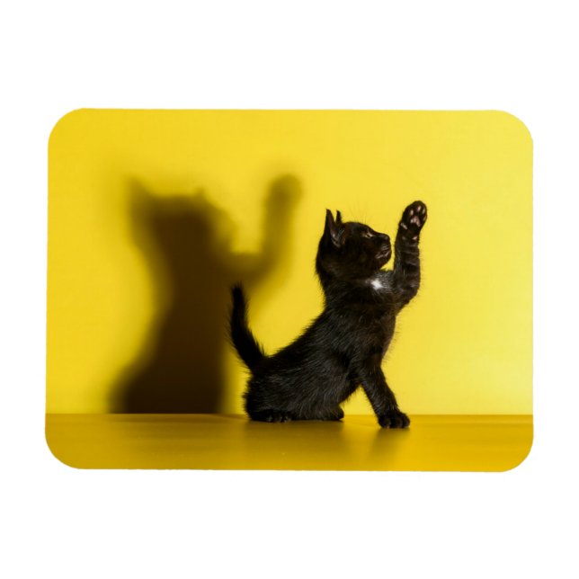 Imán Animales de bebé más afectados | Jugar al gato neg (Horizontal)