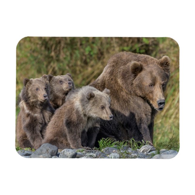 Imán Animales de bebé más afectados | Kodiak Mama Bear  (Horizontal)