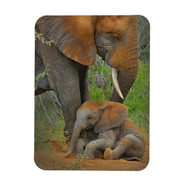 Imán Animales de bebé más afectados | Mama Elephant & B (Vertical)