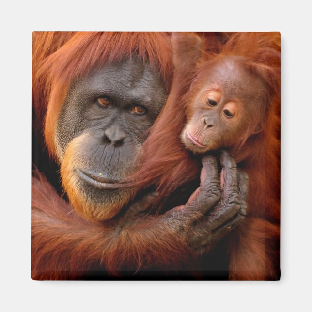 Imán Animales de bebé más afectados | Mamá y bebé de Or (Frente)