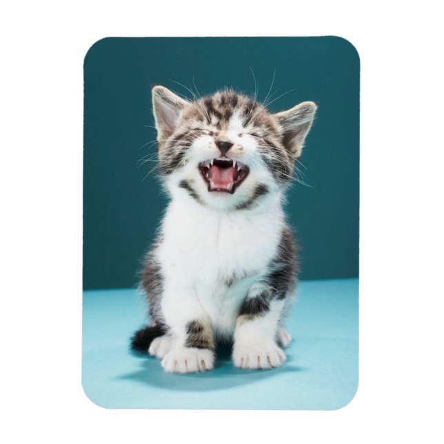 Imán Animales de bebé más afectados | Meowing Baby Kitt (Vertical)