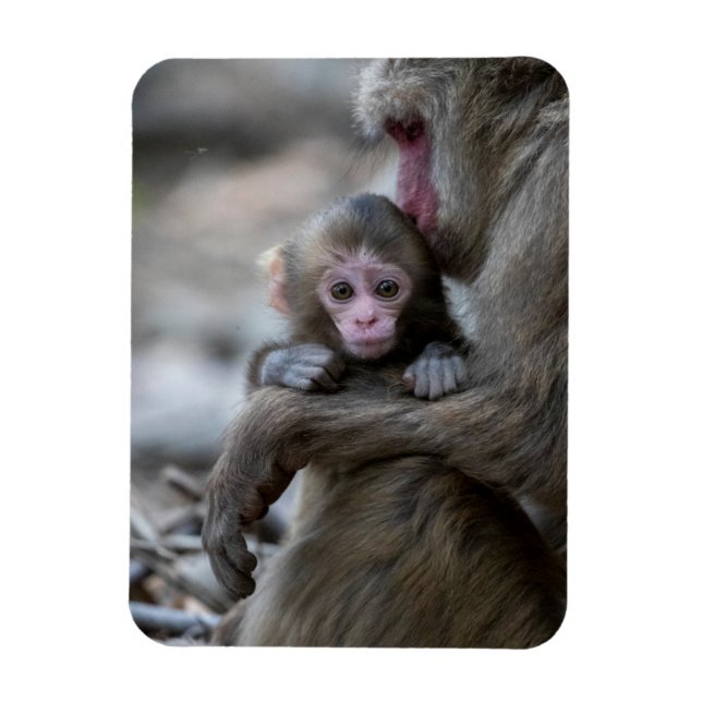 Imán Animales de bebé más afectados | Mono japonés y be (Vertical)