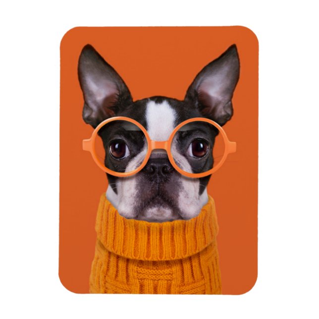 Imán Animales de bebé más afectados | Naranja Boston Te (Vertical)