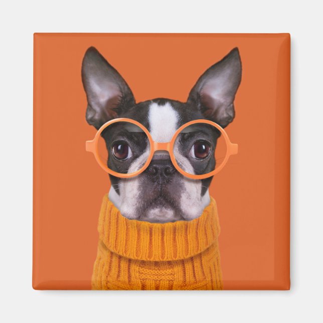 Imán Animales de bebé más afectados | Naranja Boston Te (Frente)