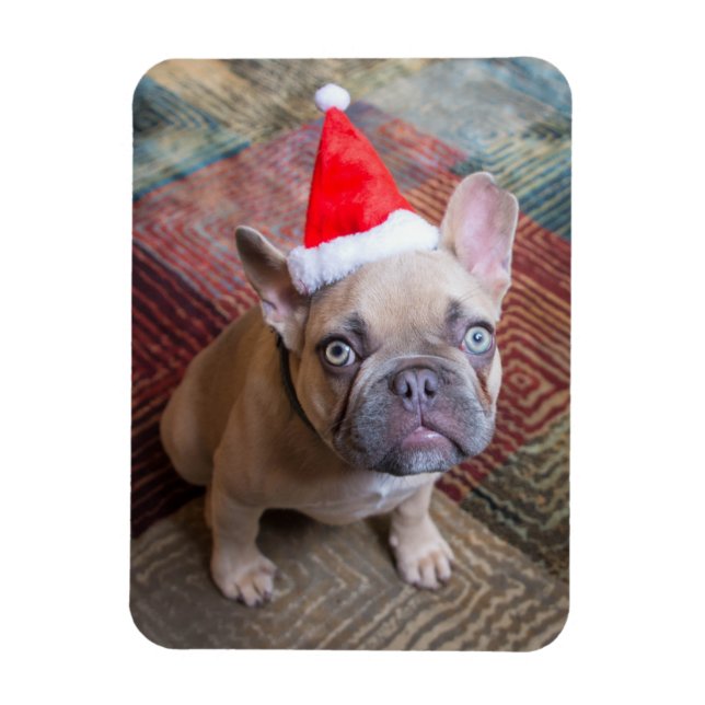 Imán Animales de bebé más afectados | Navidades de Bull (Vertical)