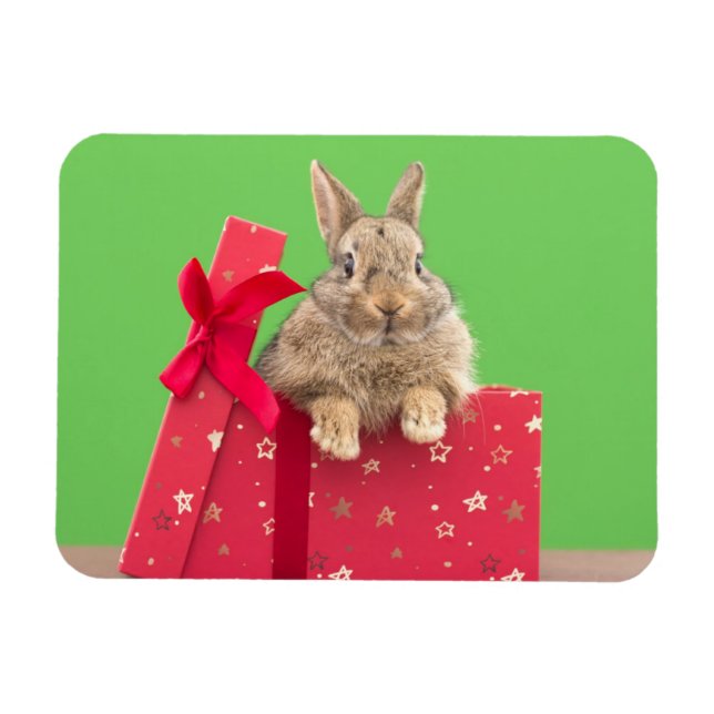 Imán Animales de bebé más afectados | Navidades Holiday (Horizontal)