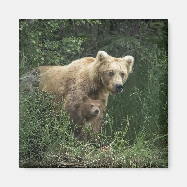 Imán Animales de bebé más afectados | Oso Mamá Oso Y Su (Frente)