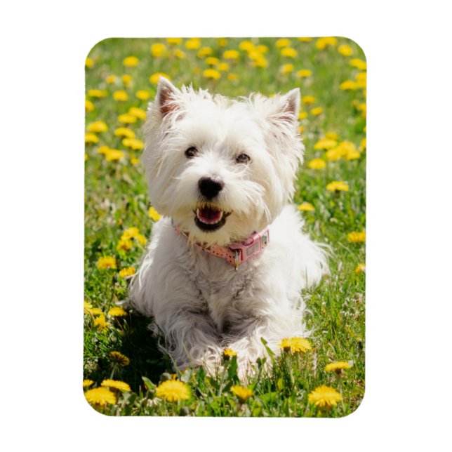 Imán Animales de bebé más afectados | Perro occidental  (Vertical)