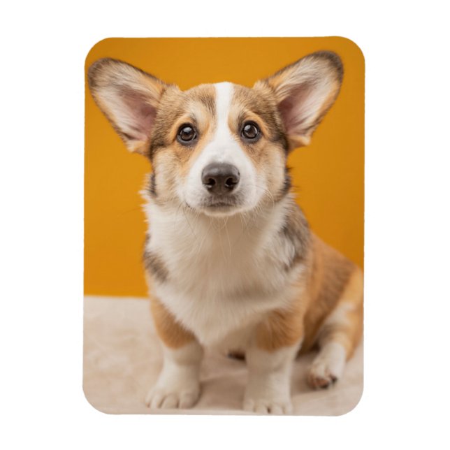 Imán Animales de bebé más afectados | Retrato de Corgi  (Vertical)
