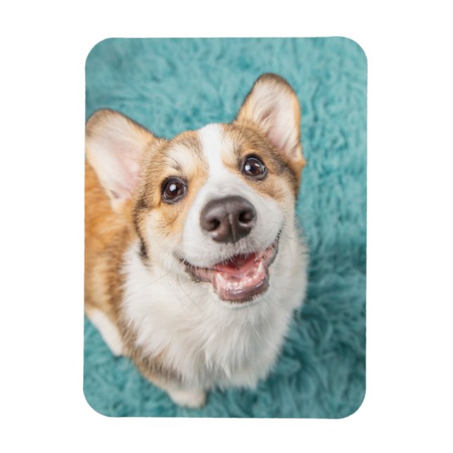 Imán Animales de bebé más afectados | Sonrisa de cachor (Vertical)