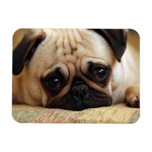 Imán Animales de bebé más afectados   Tubería de cachor