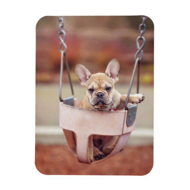 Imán Animales de bebé más afectados | Zona de juegos de (Vertical)