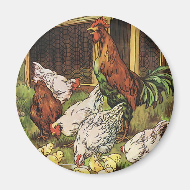 Imán Animales de granja de cosecha, gallos, gallinas (Frente)