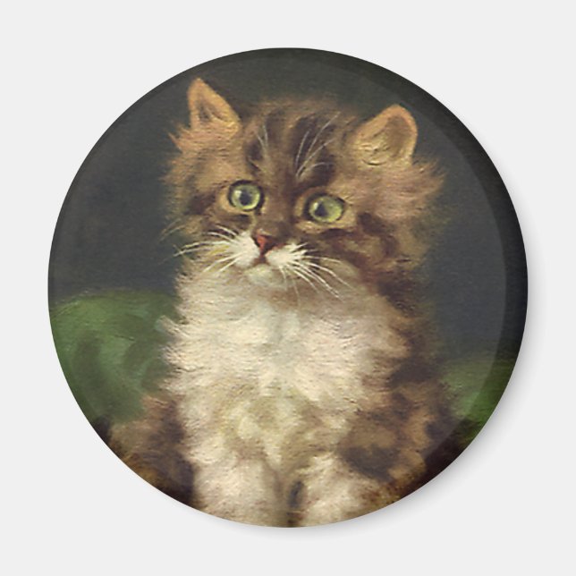 Imán Animales de Mascota de la cosecha, gatito de gatos (Frente)