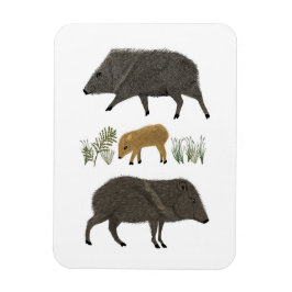Imán Animales del desierto de la familia Javelina