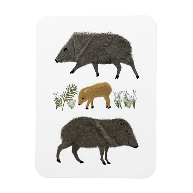 Imán Animales del desierto de la familia Javelina (Vertical)