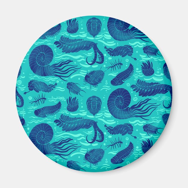 Imán Animales marinos antiguos: Trilobitas, Anomalocari (Frente)