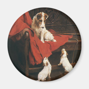 Imán Animales Mascotas de la época, perros Jack Russel