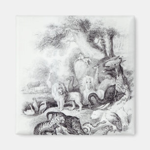 Imán Animales salvajes de la Historia de la Tierra