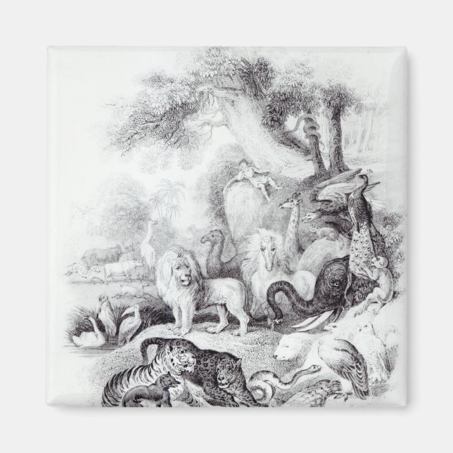 Imán Animales salvajes de la Historia de la Tierra (Frente)