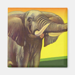 Imán Animales Salvajes Vintage, Elefante Africano con P