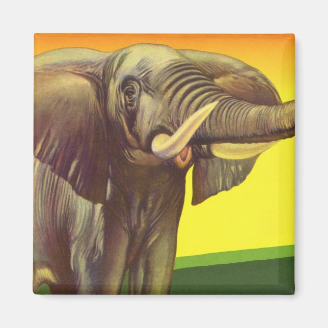 Imán Animales salvajes vintage, elefante africano con p (Frente)