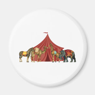 Imán Animales y tienda de circo