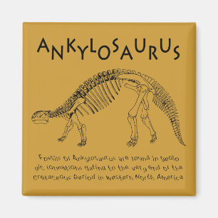 Imán Ankylosaurus Magnet