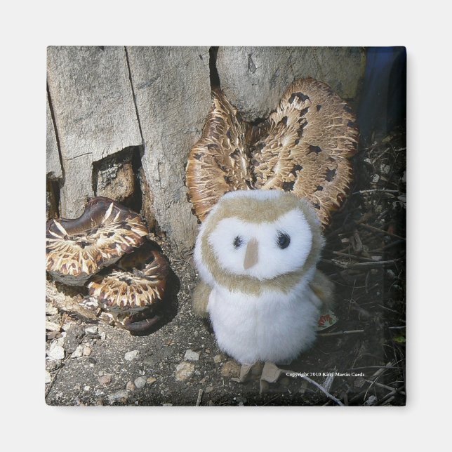 Imán Annie & Mushrooms (Frente)