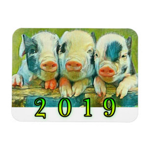 Imán Año del cerdo 2019