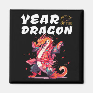 Imán Año Del Dragón Dragones Divertidos Signo Del Zodia