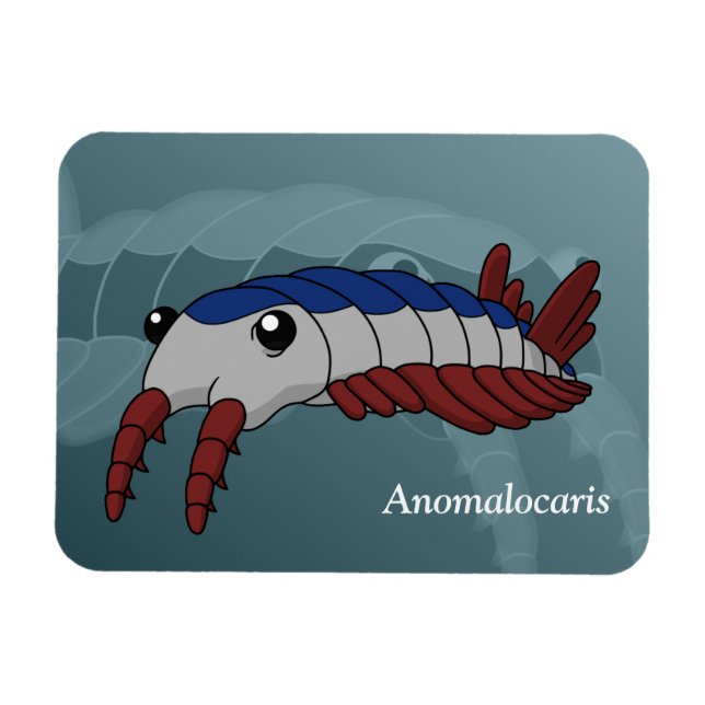 Imán Anomalocaris - Animal prehistórico (Horizontal)