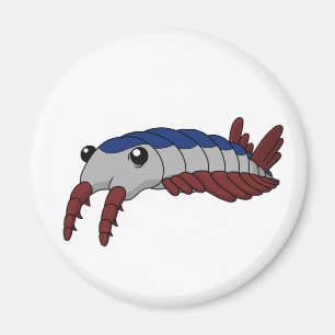 Imán Anomalocaris - Animal prehistórico