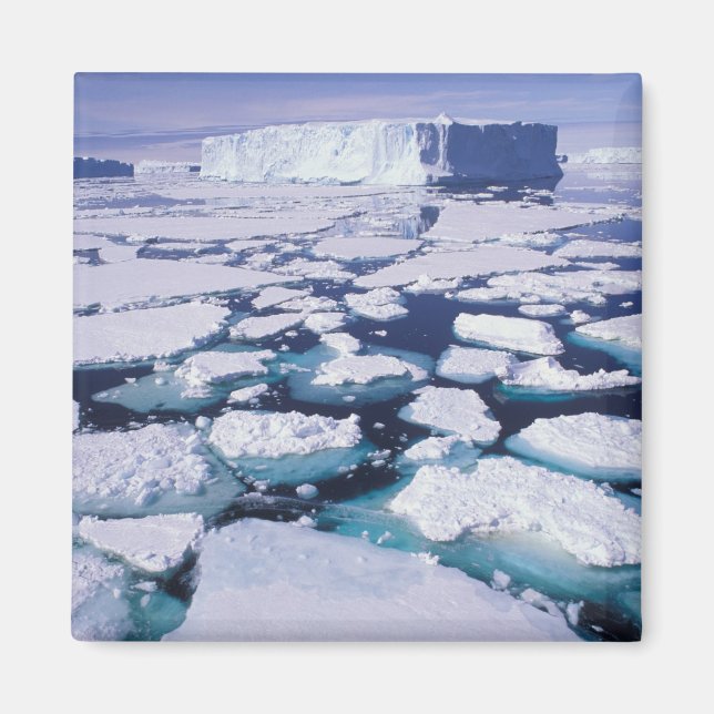 Imán Antártida, Flujo de hielo. (Frente)