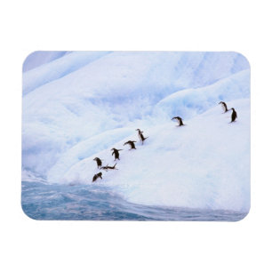Imán Antártida, Península Antártica. Penacho