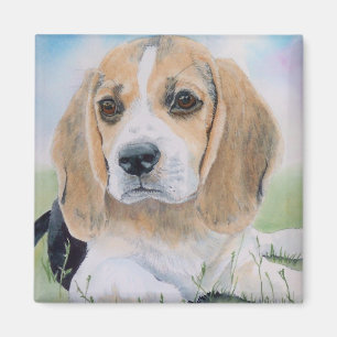 Imán Anteado el beagle