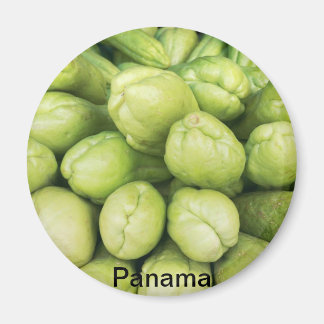 Imán Antecedentes de la hembra orgánica de choko Sechiu