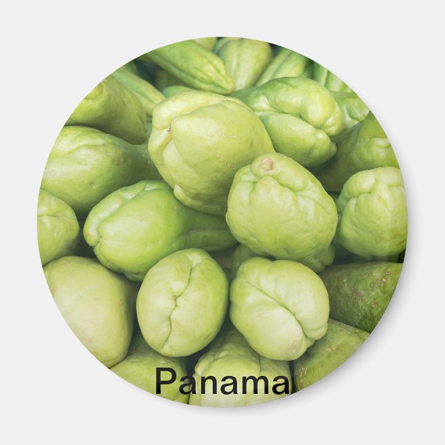 Imán Antecedentes de la hembra orgánica de choko Sechiu (Frente)