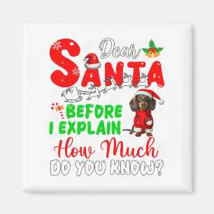 Imán Antes De Explicar Cuánto Sabes De Navidad Dachshun