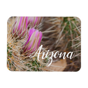 Imán Antes de la floración, Arizona