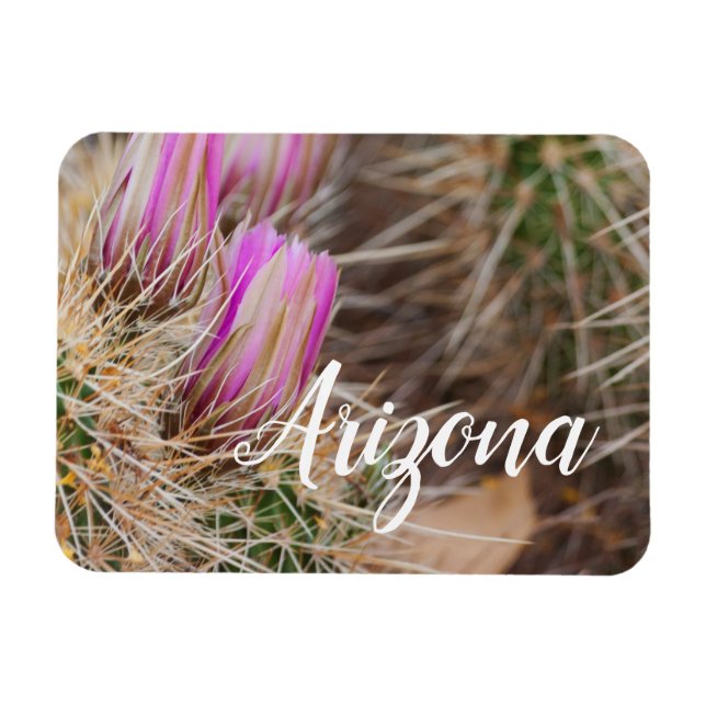 Imán Antes de la floración, Arizona (Horizontal)